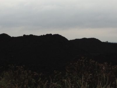 Купить торф Архангельское